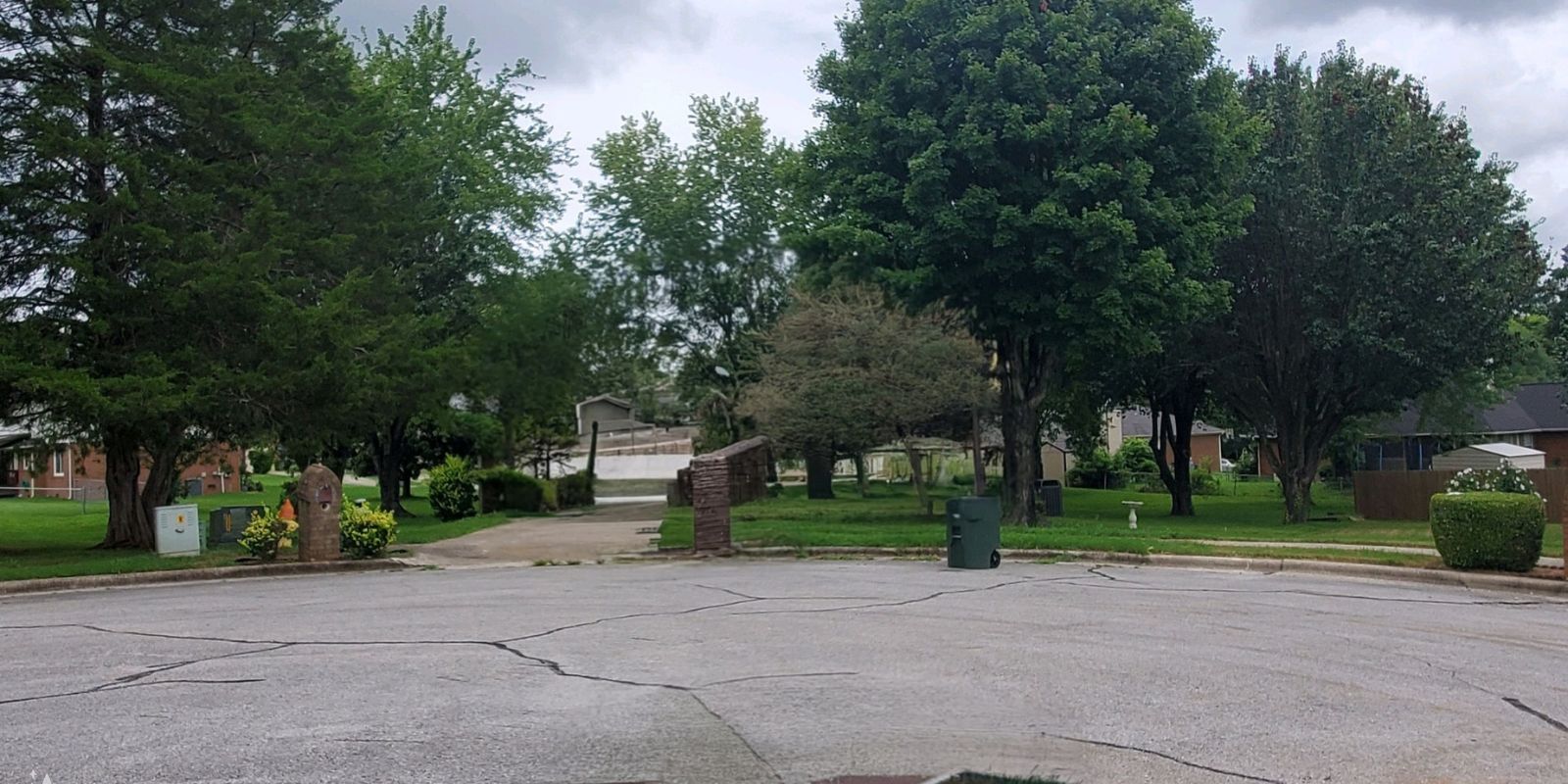 tree trimming durham nc